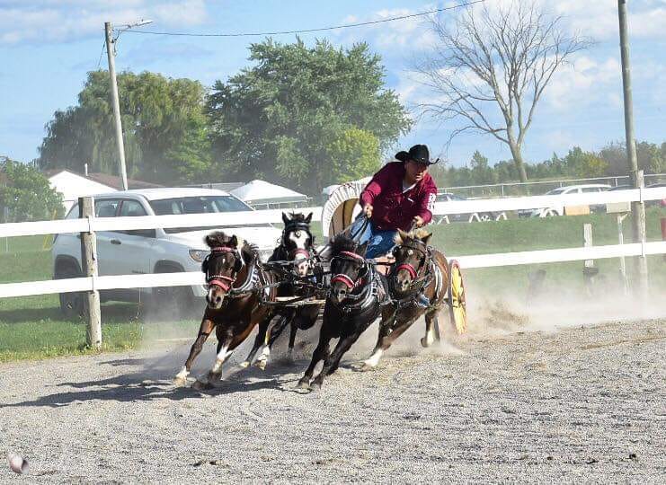 Mini Chuckwagon Races – Daily Shows