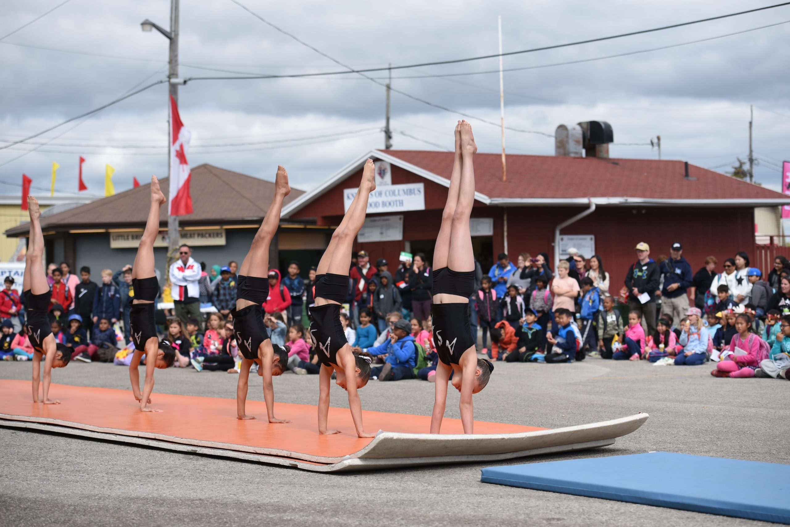 ASF Gymnastics Demonstration – Daily Shows