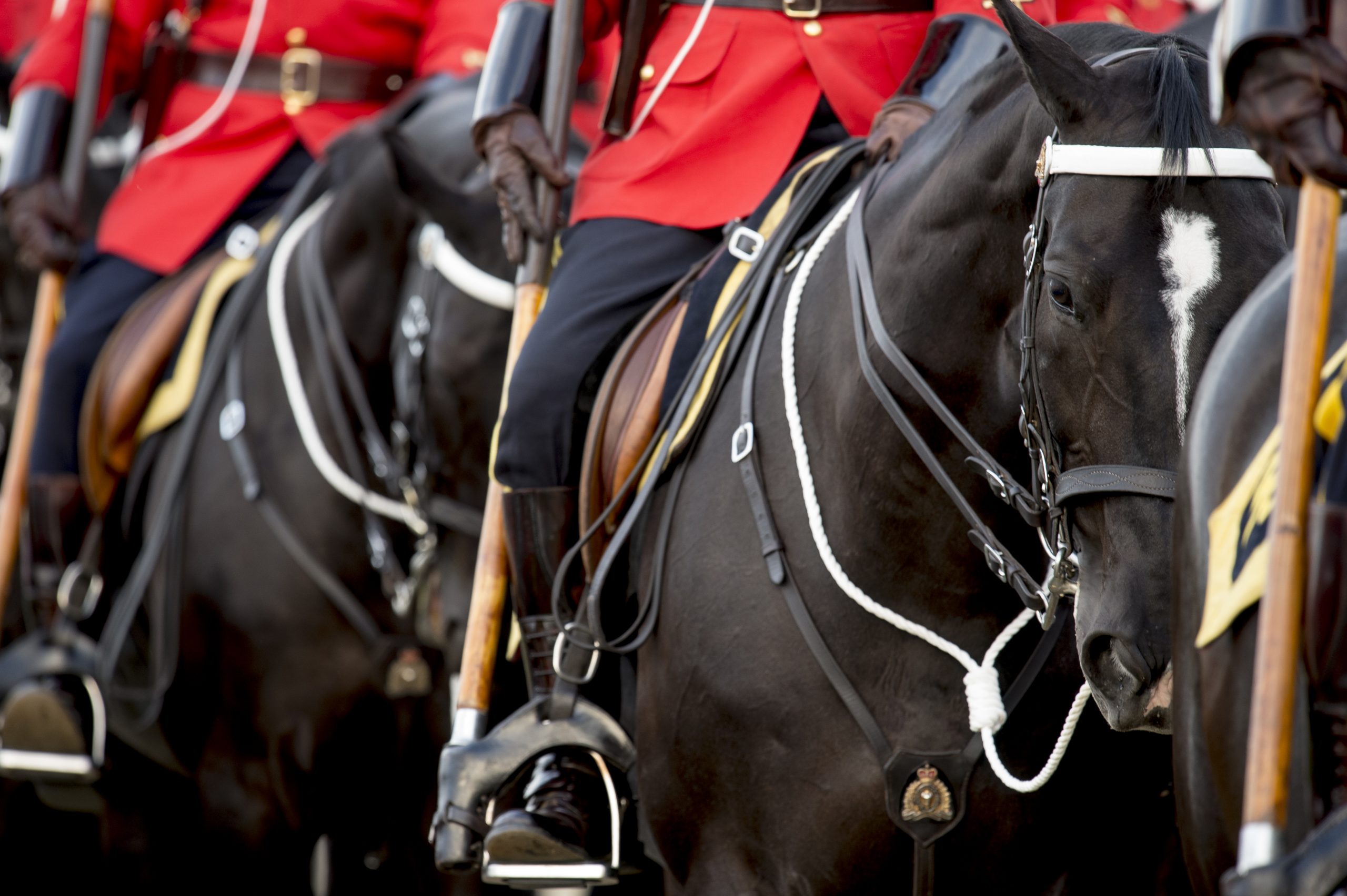 RCMP Musical Ride