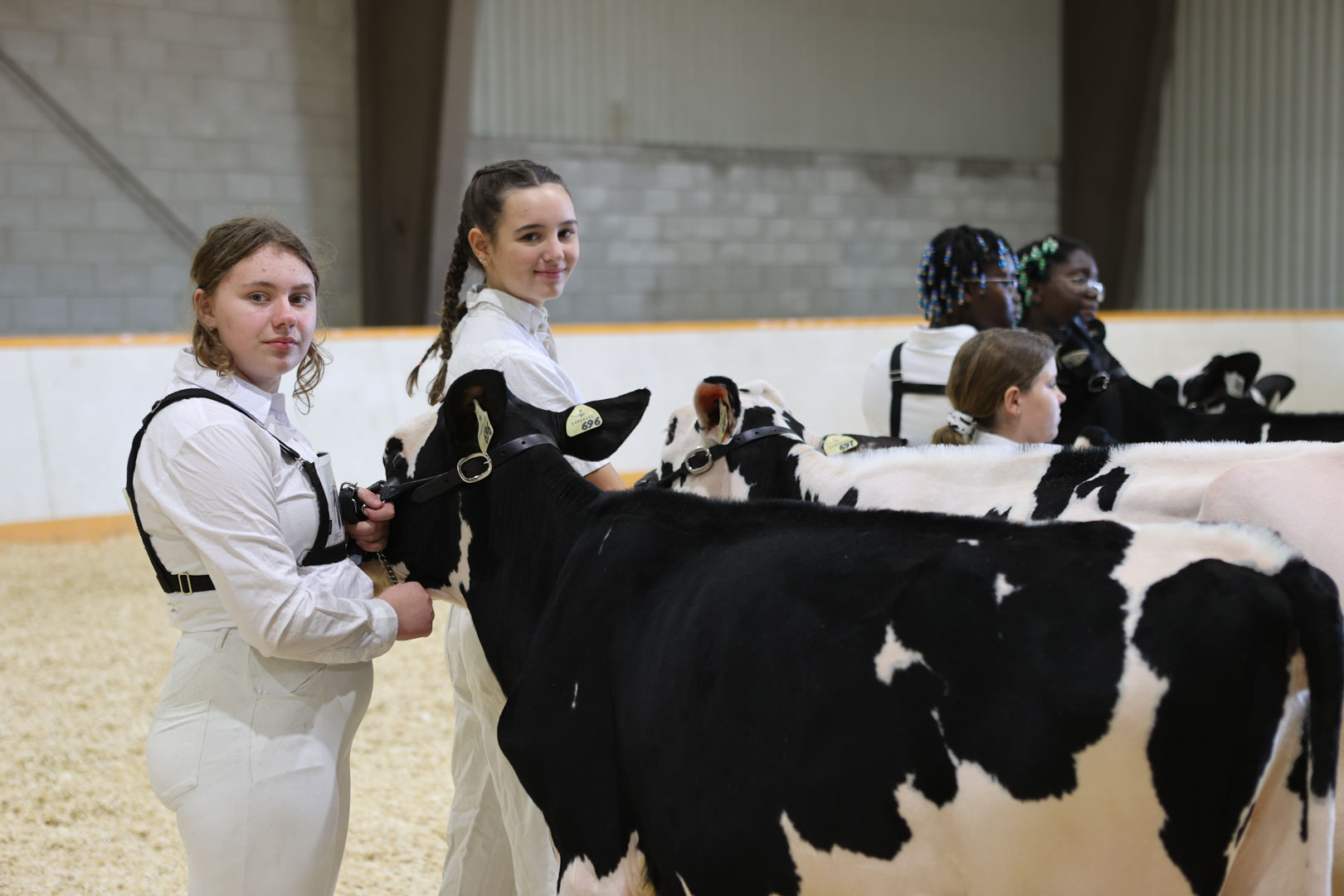 Open Dairy Cattle Show