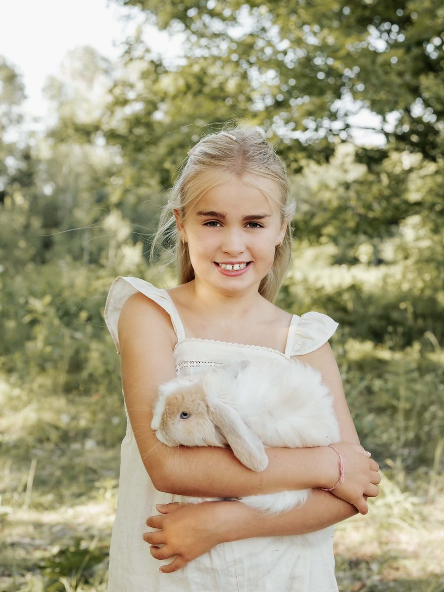 Biscuit, the Holland Lop rabbit